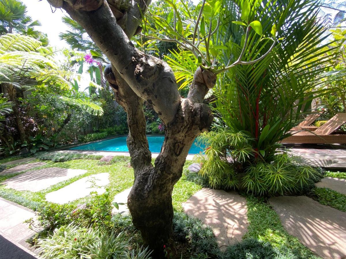 Vishaka Apartemen